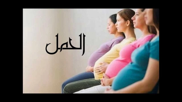 الحمل والأمومة مع د. مريم | youtube.com | 102467