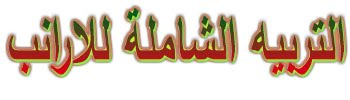الصرف الغير مكلف لبوكس الارانب فديو - مدونة التربيه الشاملة للارانب | 102777