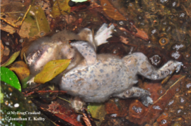 15 Scientists Tweet About The Most Disgusting Things Th 0