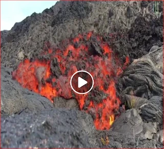 Amazing Videos | 110682