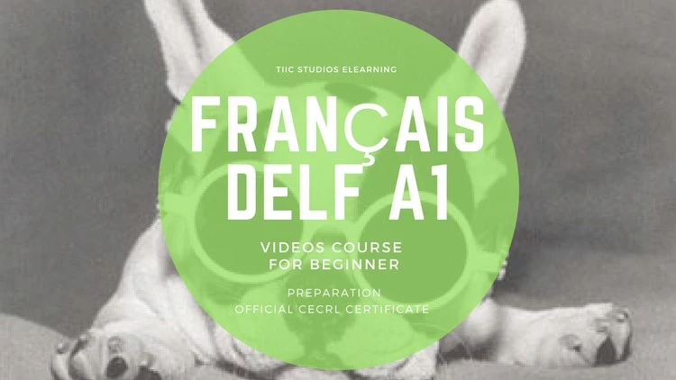 French course beginner DELF A1 CEFRL official certificate‬‏ - Google Drives | 111280