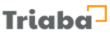 Earn Money Online with surveys from Triaba. | 111759