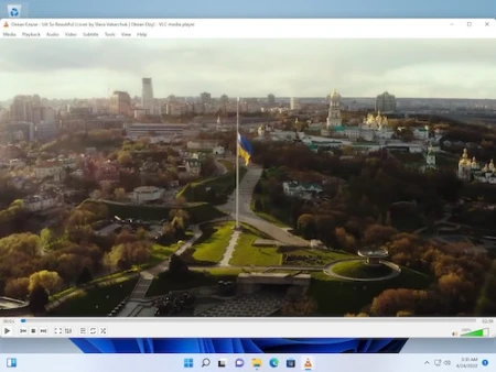downoald free vlc | 112019