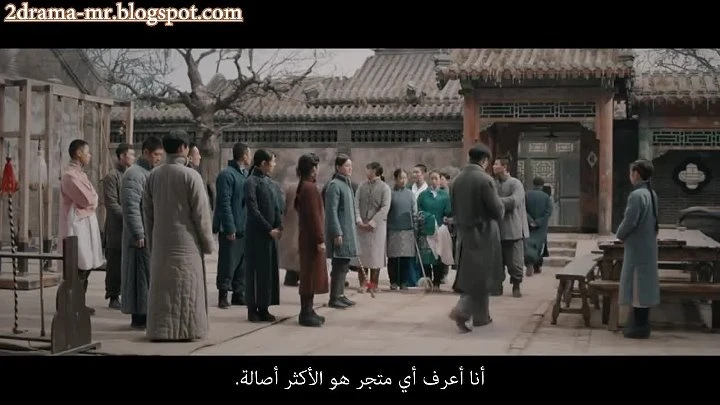 بيغونيا الشتوية 12 | 114122