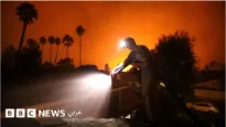 حرائق لوس أنجليس: خمسة أسباب وراء الانتشار السريع للحرائق - BBC News عربي | 114893