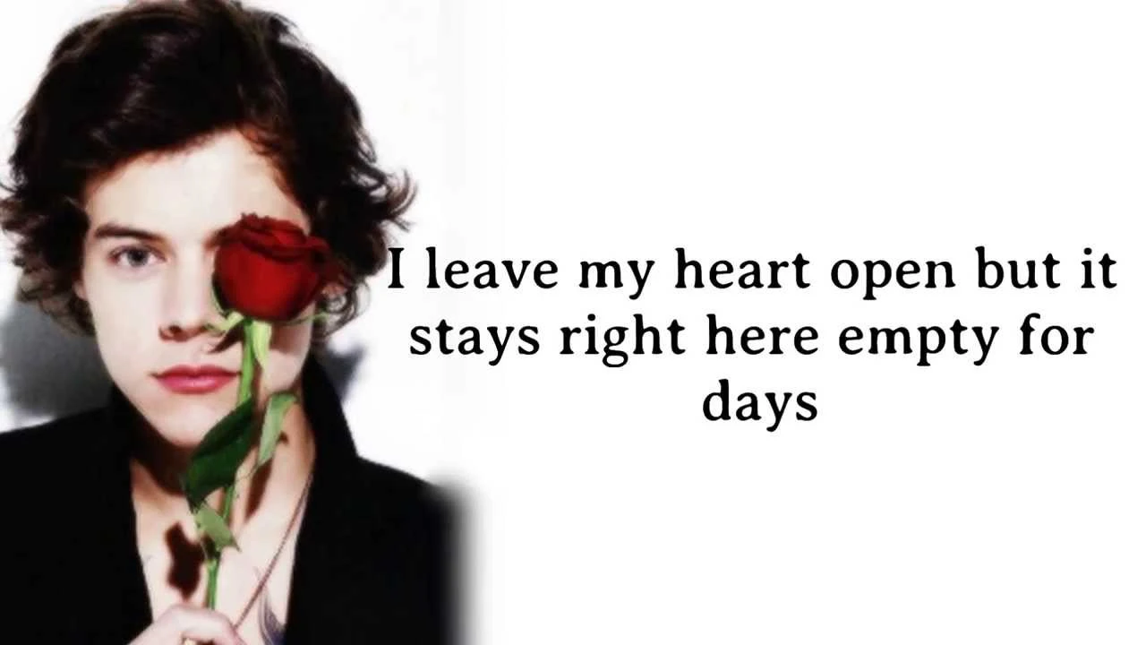 One Direction - Story of My Life (Lyrics + Pictures) *HD* | youtube.com | 11679