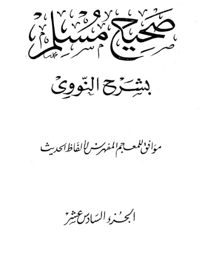 صحيح مسلم بشرح الإمام النووي الجزء السادس عشر | يحيى بن شرف النووي | الديانة الإسلامية | 118300