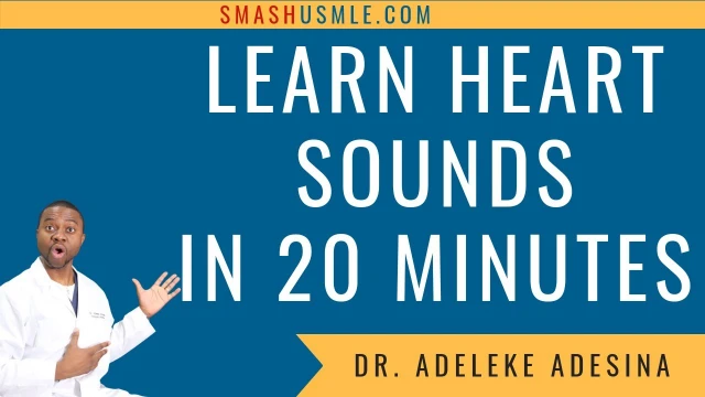 How to listen to heart sounds in 20 MINUTES| What You Need to KNOW | 12105