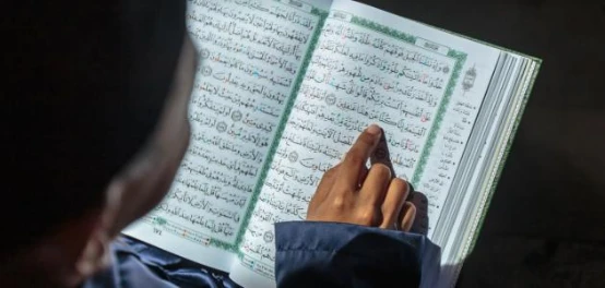 مفهوم التربية الإسلامية | عبد الرحمن صالح عبد الله | التربية والتعليم | 126097