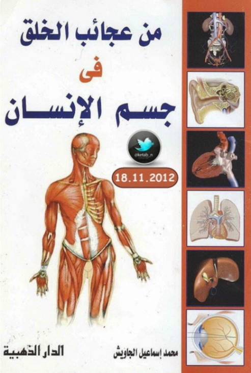 من عجائب الخلق في جسم الإنسان | محمد إسماعيل الجاويش | علوم | 126779