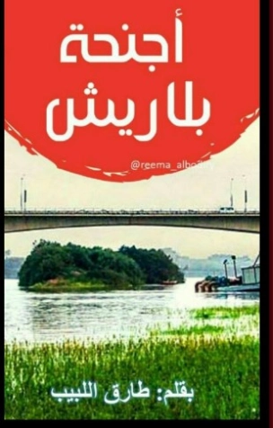 أجنحة بلا ريش | طارق اللبيب | أدب افريقي | 127105