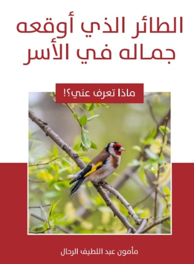 الطائر الذي أوقعه جماله في الأسر | مأمون عبد اللطيف الرحال | قصص للأطفال | 129561