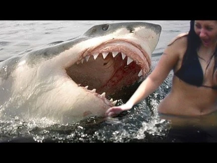 SHARK ATTACKS caught on tape | 18637