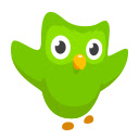 Duolingo on the Web - Chrome Web Store | 23869