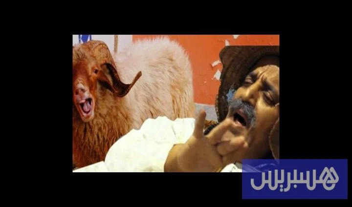 بالفيديو .. كبور وعيد الأضحى | 28198