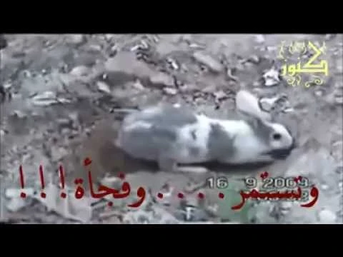 فيديو أعجز عن وصفه وفقط أقول سبحان الله وبحمده | 31592