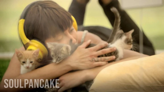 Kitten Therapy: The Prescription for Stress | youtube.com | 33583