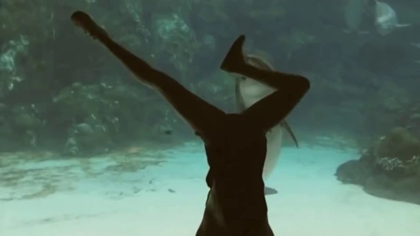Girl Makes Dolphin Laugh (EXTENDED) ORIGINAL VIDEO | youtube.com | 35272