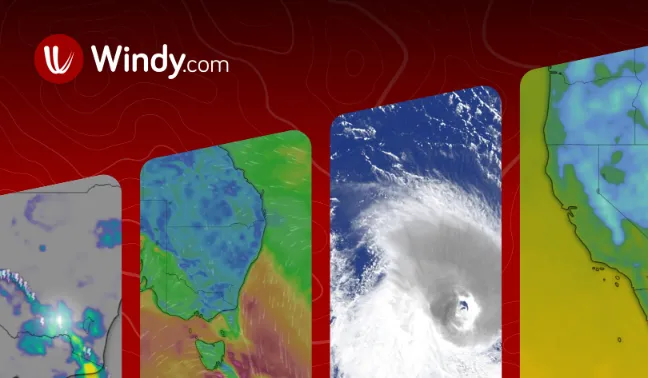 Professional weather forecast | 39804