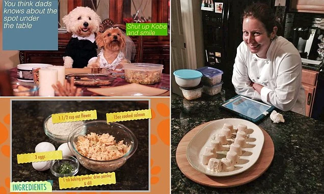 Paw-fect recipes for your pet's plate: The cooking show that teaches dog owners how to prepare homemade treats for their four-legged friends | 39955