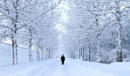 Snow/Snjór in Reykjavik | 41134