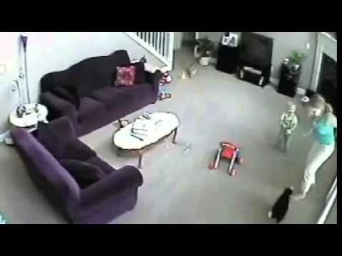 اكثر من رائع قط يهاجم جليسة اطفال حينما شعر بالخطر على الطفل الصغير | youtube.com | 45671