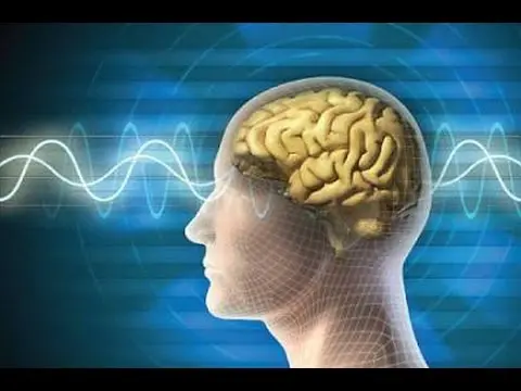 سوره فى القران تقضى على مشكله النسيان والزهايمر1 | youtube.com | 47433