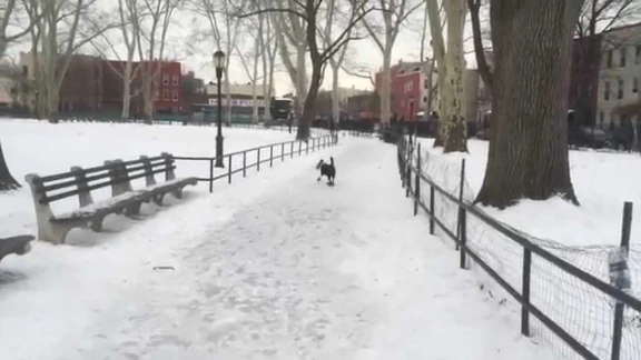 click here to view it | youtube.com | 49415
