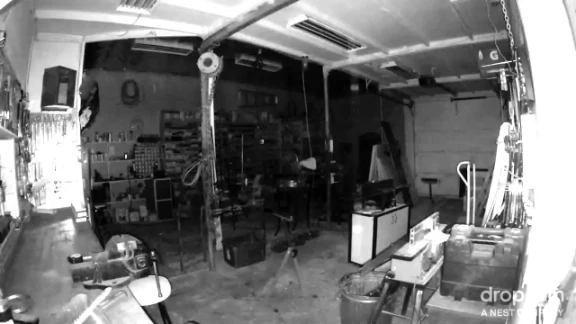 Garage Heist: Guy broke in through my ceiling!! | 56204