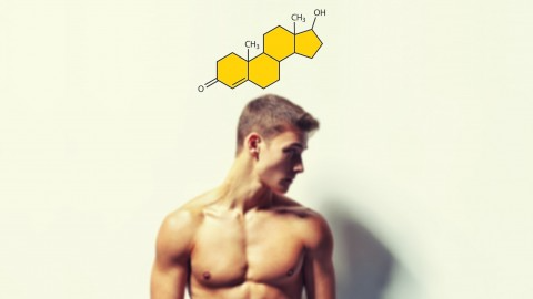 Look Younger, Live Longer, and Triple Your Testosterone | 56534