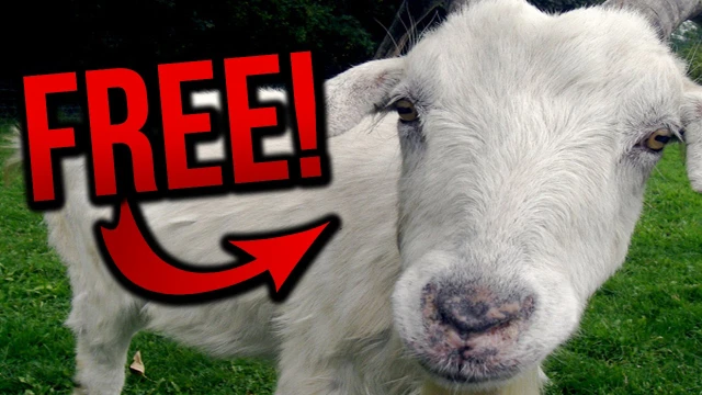 GET A GOAT FOR FREE! (BroKen #7) | youtube.com | 63294