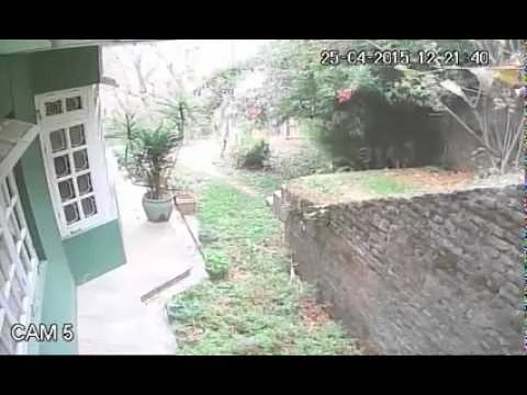 CCTV Catches Violence of Nepalese Earthquake Part 1