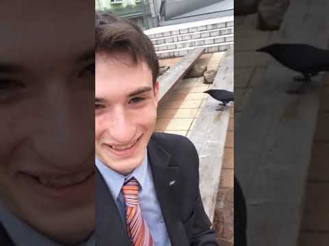 Crow thinks hes sneaky | 67569