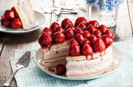 Strawberry gateau ice cream cake | Tesco Real Food | 69844