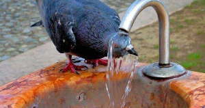 easy mese: 11 advice to cope with intense heat | 71962