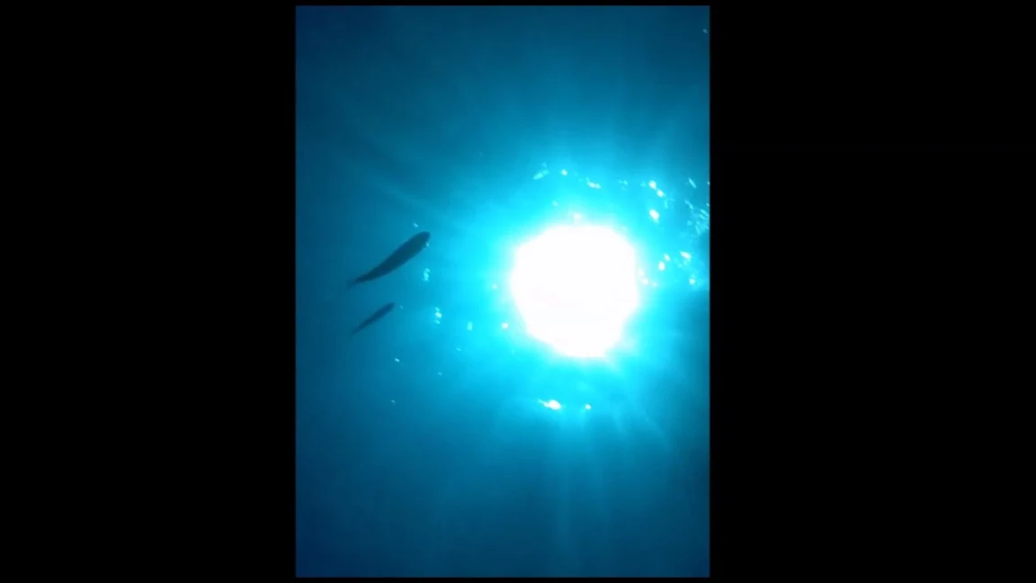 Phone dropped on ocean floor, recovered and it records the whole thing! | 72715