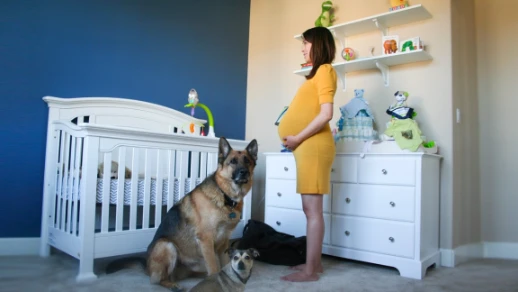 Time Lapse: Pregnant to Baby in 90 seconds. Photo a day. (Part 1 of 2) | 75991