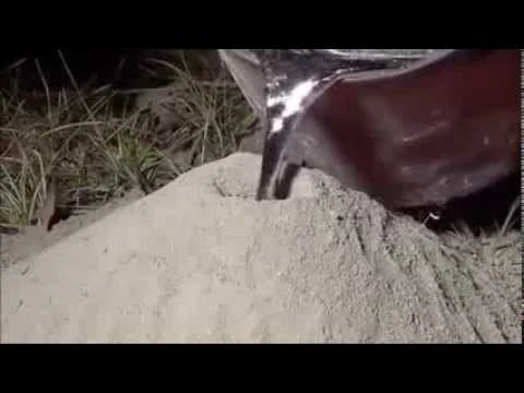 شاهد ما يحدث عندما تصب الالمنيوم السائل داخل عش النمل سبحان الله | 76914