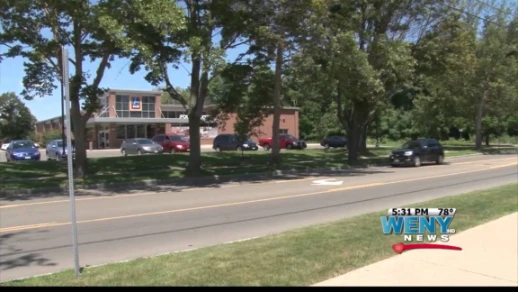 Elmira man stops purse snatcher | 84490