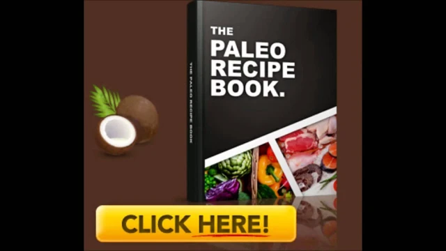 Paleo Recipe Book - Brand New Paleo Cookbook | 84760