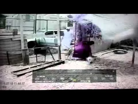 مسن يوثق بالفيديو لحظات السطو على أغنامه بصامطة | 85900