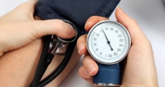 easy mese: Ornamental fish ponds lower blood pressure and heart rate | 85989