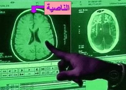 الاعجاز في السنة - سبع حقائق علمية تشهد بصدق النبي صلى الله عليه وسلم | 86144