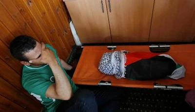video online: Palestine received a memorandum on the International Criminal Jews terrorism | 86307