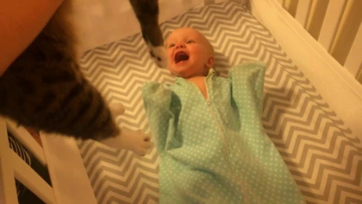 Baby Loves Cat | By Linkaty.us the url shortener service earn money  | 88924