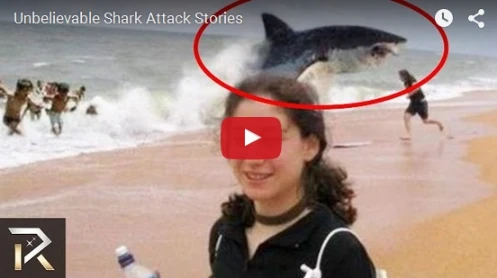 Unbelievable Shark Attack 0