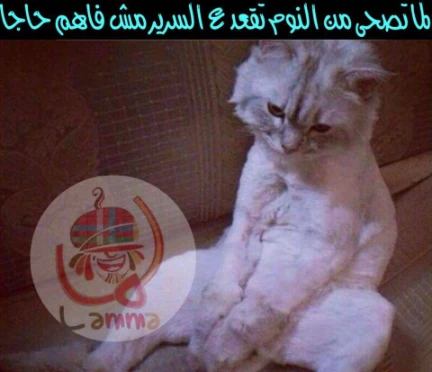 لما تصحى من النوم تقعد على السرير مش فاهم حاجه | 93614