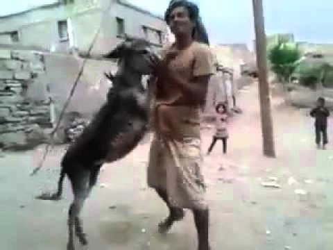 https://www.youtube.com/watch?v=orFnTZuywqo | 93622