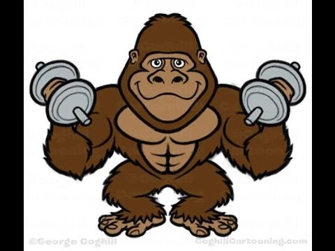 athlete monkey doing push-ups and sit-ups _ قرد يستعرض عضلاته | youtube.com | 9449