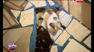 واحد من الناس - عمرو الليثي يواصل السعي وراء تفسير ظهور صور لحجاج بأرضية منزل بالمنوفية | youtube.com | 95085